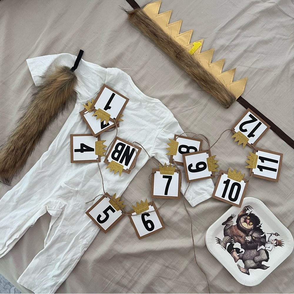 Party decorations “Wild One” Where the Wild Thing Are First Birthday